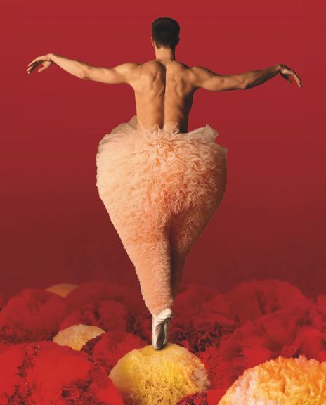 Chicos Mambo Tutu 1600