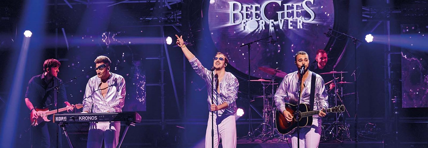 Bee Gees Forever (William Rutten) 2