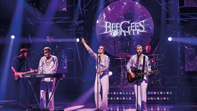 Bee Gees Forever (William Rutten) 2