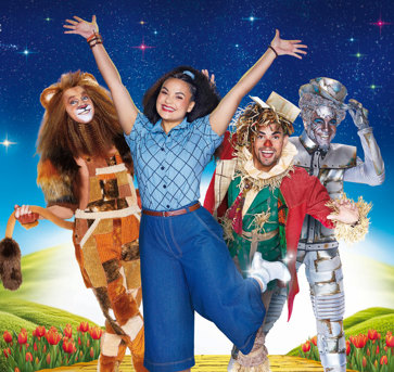 The WIZ Cropped Voor Carrousel