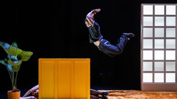 Sorry Not Sorry 1600 (6)