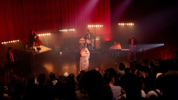 Brabo Leone 1600 (3)