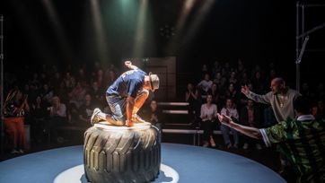 16003 ©Bart Grietens