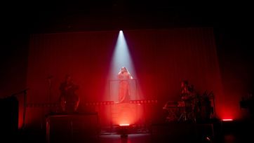 Brabo Leone 1600 (2)