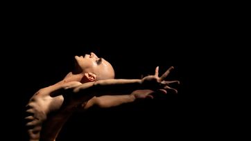 Anima Obscura 1600 (4)