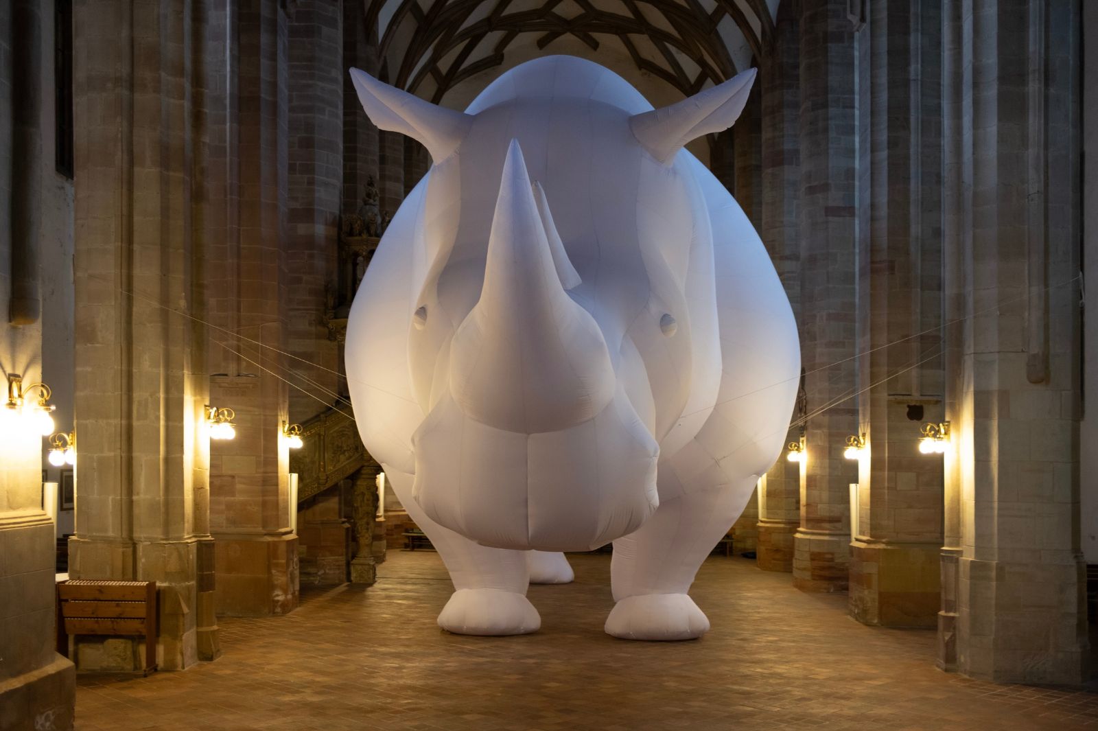 Nieuw Licht: Itamar Gov: The Rhinoceros in the Room in TAQA Theater De Vest, Alkmaar
