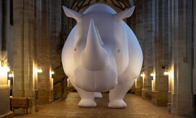 Rhinoceros Header 1600