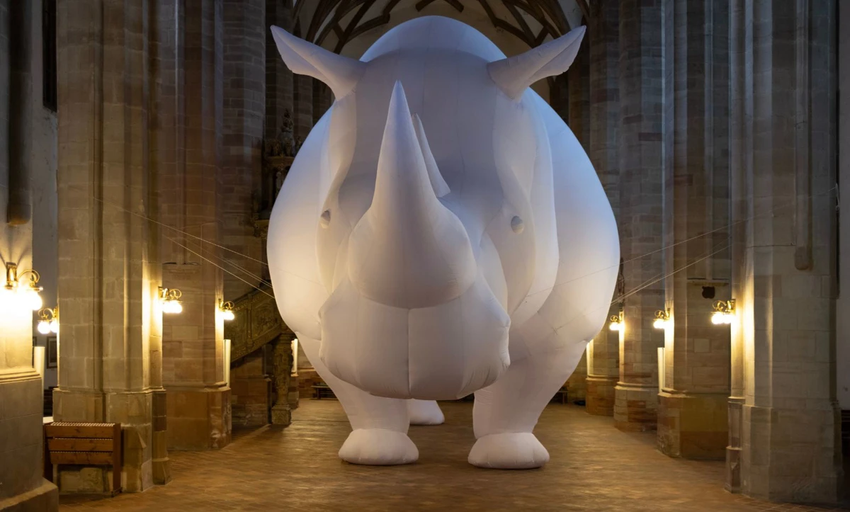 Nieuw Licht: Itamar Gov: The Rhinoceros in the Room in TAQA Theater De Vest, Alkmaar