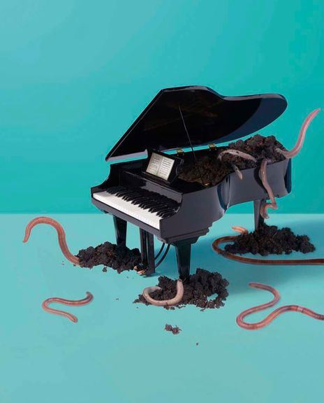 1600 NANOEK Grond (Rechtenvrij) 3