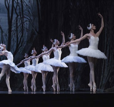 1 Charkiv City Ballet Het Zwanenmeer (Rechtenvrij) 3 RGB 300 Dpi