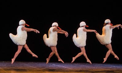 1600 Chicos Mambo TUTU (Michel Cavalca) 1