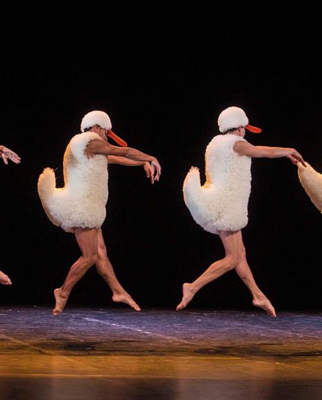 1600 Chicos Mambo TUTU (Michel Cavalca) 1