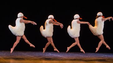 Chicos Mambo Tutu 1600 (1)