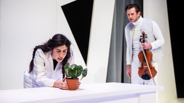 Het Groene Meisje Bart Grietens 34 Mid